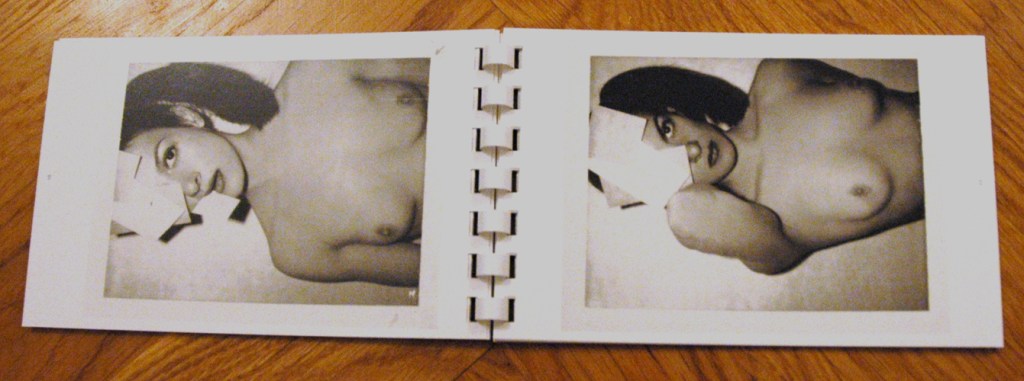 Book #227, 1973, Polaroid Type 107, black and white. Paloma Picasso (Foto: Marlene Obermayer)