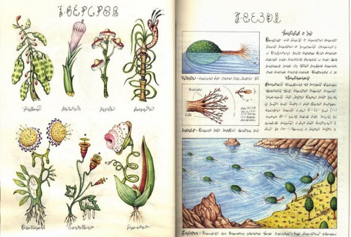 Luigi Serafini: Codex-Seraphinianus (Quelle: http://www.openlettersmonthly.com)