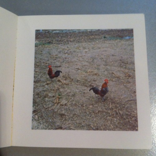 Künstlerbuch | artists' book: Sol LeWitt, Cock Fight Dance, 1980 (Foto: Marlene Obermayer)