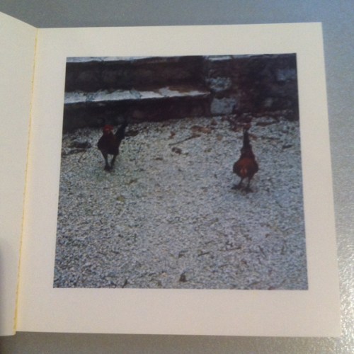 Künstlerbuch | artists' book: Sol LeWitt, Cock Fight Dance, 1980 (Foto: Marlene Obermayer)