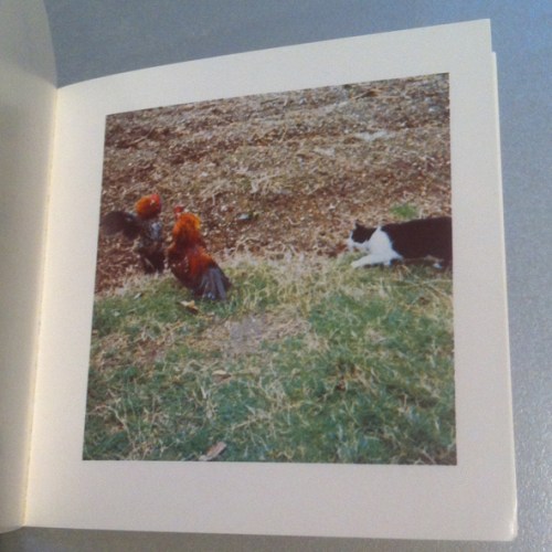 Künstlerbuch | artists' book: Sol LeWitt, Cock Fight Dance, 1980 (Foto: Marlene Obermayer)