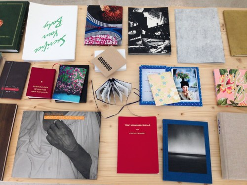 SELTENE, SELBST PUBLIZIERTE UND SIGNIERTE FOTOBÜCHER in der AnzenbergerGallery