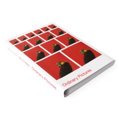 Catalogue Ordinary Pictures Walker Art Center 2016