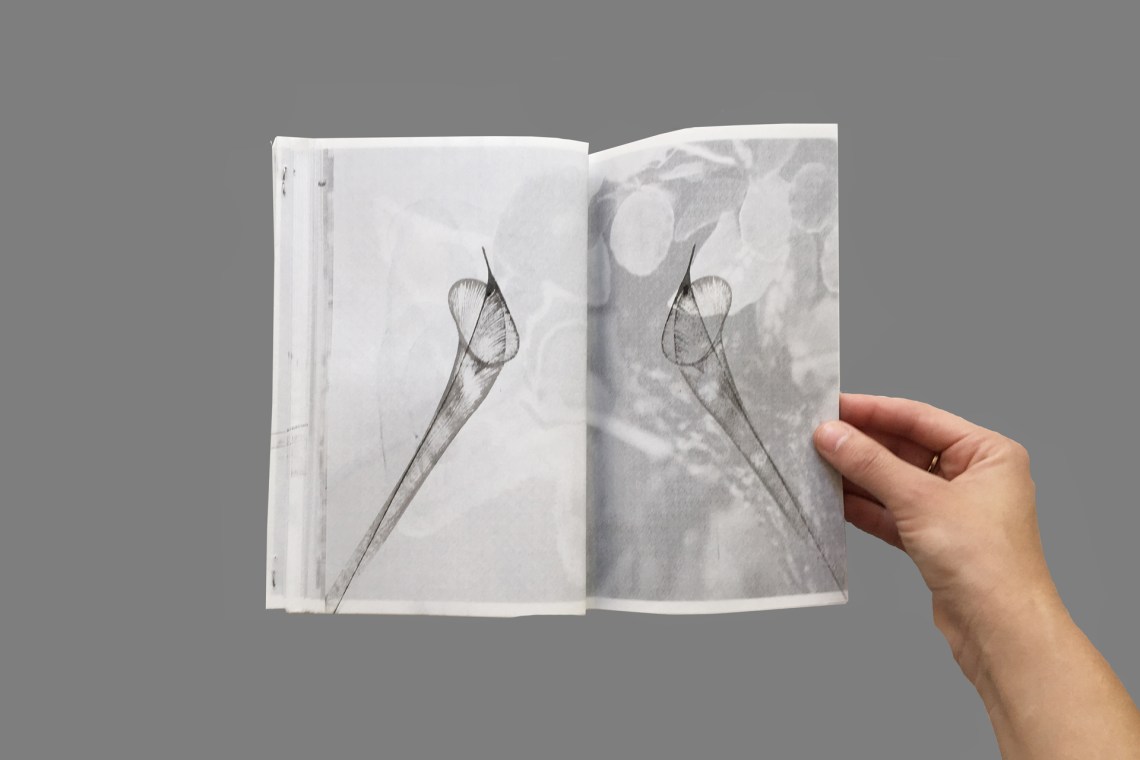 Claudia de la Torre_flores_2