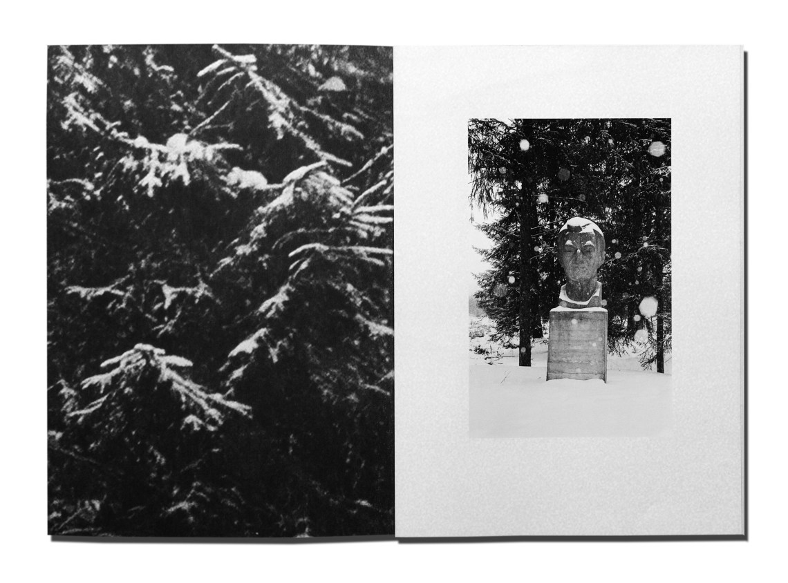 Fine Bieler, „A Rolling Stone Gathers No Moss”